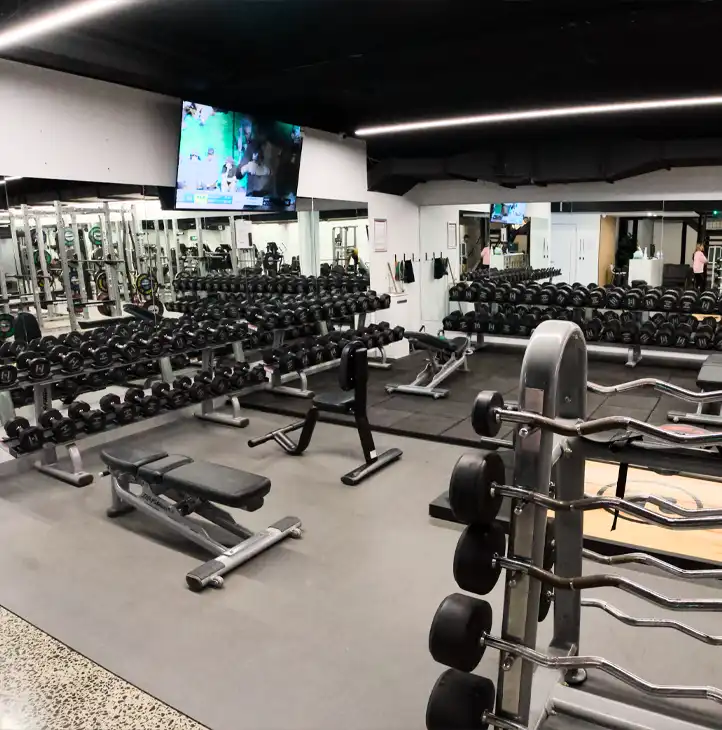 Free weights area with dumbbells and benches at Re-Creation Health Club Sorrento