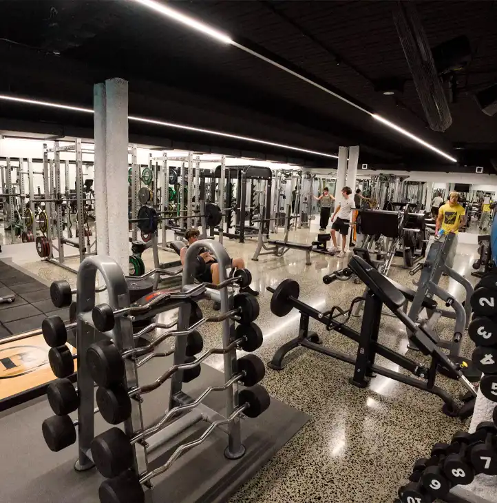 Gym floor with dumbbells and benches at Re-Creation Health Club Sorrento