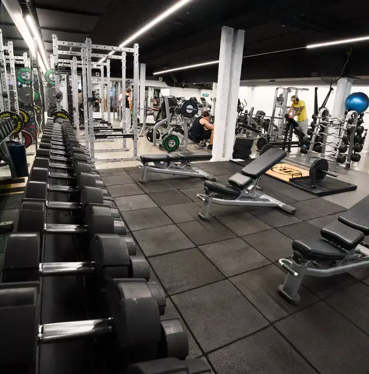 Free weights area with dumbbells and benches at Re-Creation Health Club Sorrento